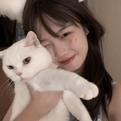 重走抗战战场｜首战平型关美名天下扬