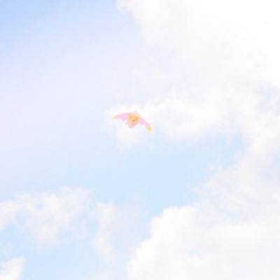 侠仙之痕官方版下载
